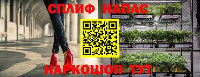 спайс Краснодар