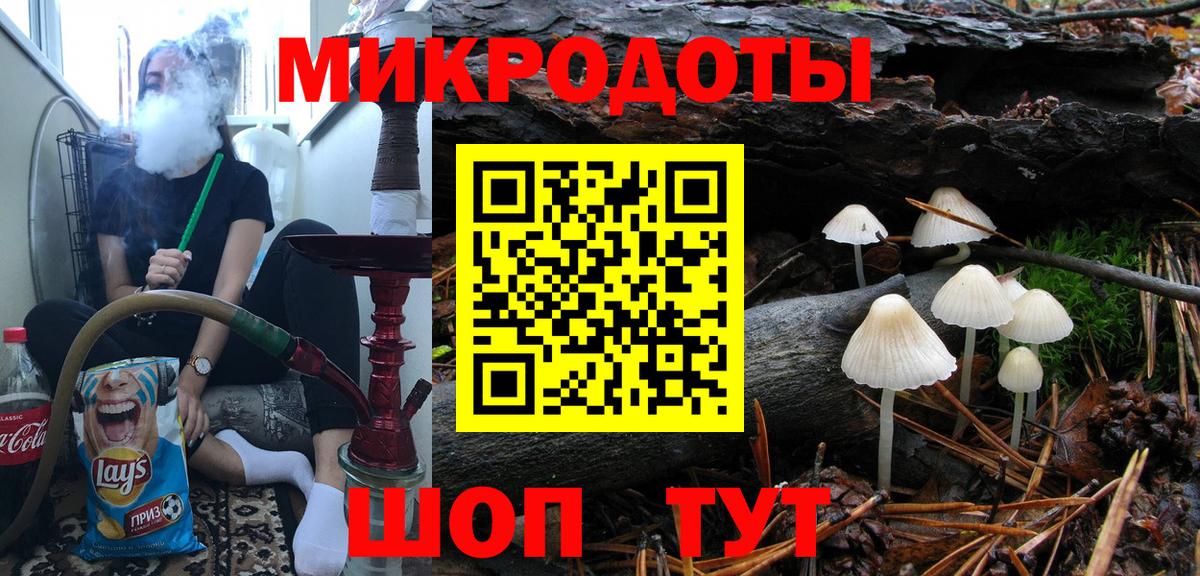 Псилоцибиновые грибы Psilocybine cubensis  наркотики  Арзамас  Вход с VPN 